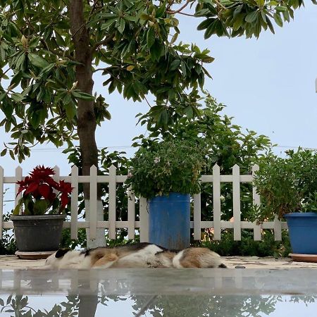 Holiday Home Ali Piqeras Kültér fotó