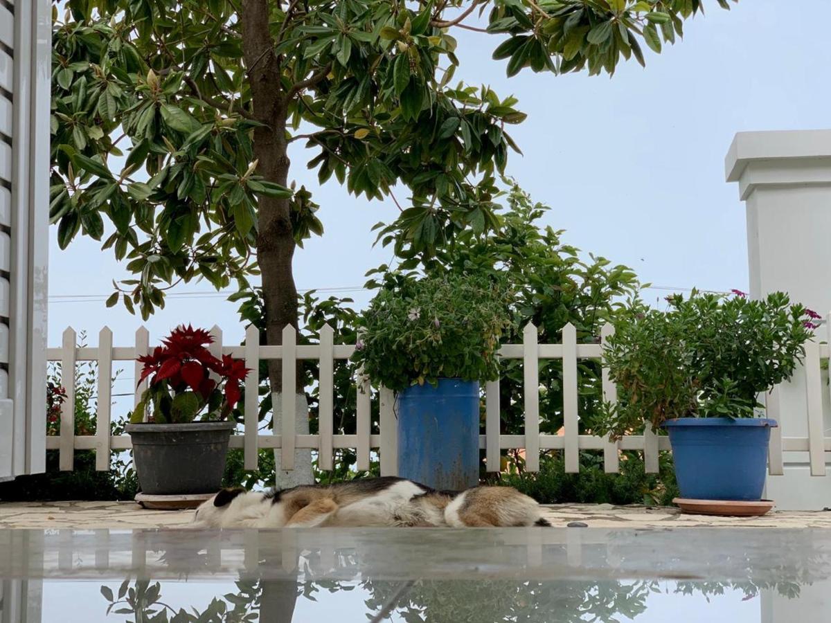 Holiday Home Ali Piqeras Kültér fotó